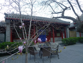 P1140510