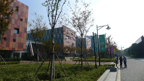 P1130795