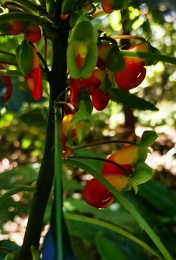 IMG 20200806 135205