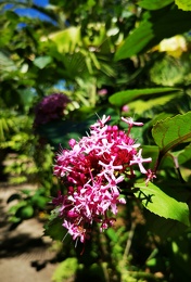 IMG 20200806 135259