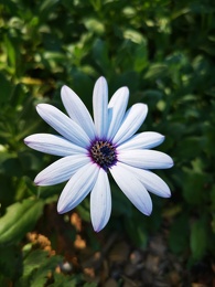 IMG 20200806 141200