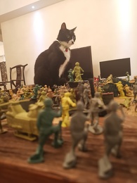 IMG 20190811 102536