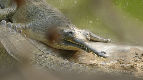 P1160673