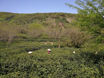 IMG 20180409 142408