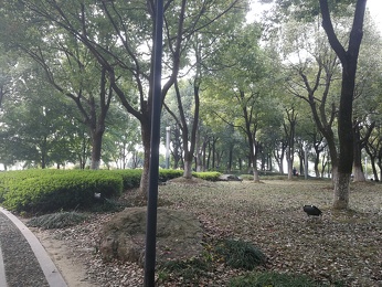 IMG 20181007 130201