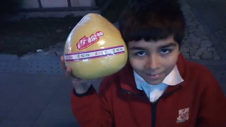 Pomelo