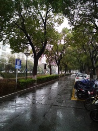 Suzhou-rain