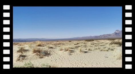 Marley-Mojave-Desert