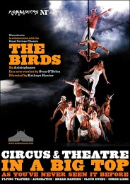 32-birds poster